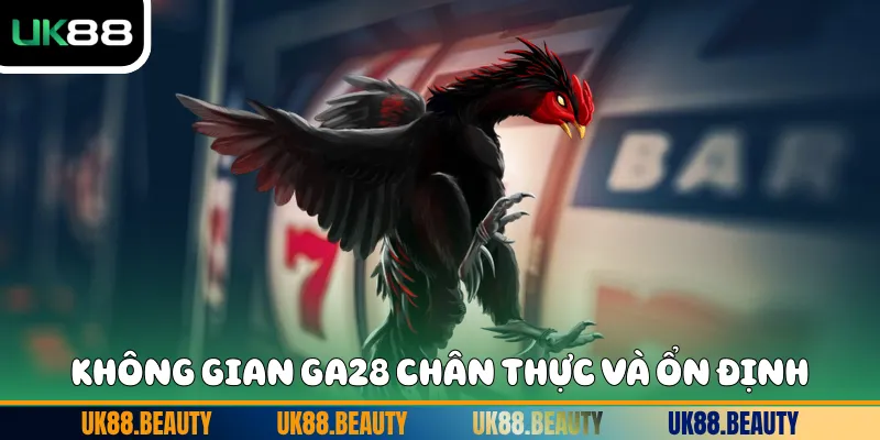 Không gian GA28 chân thực và ổn định